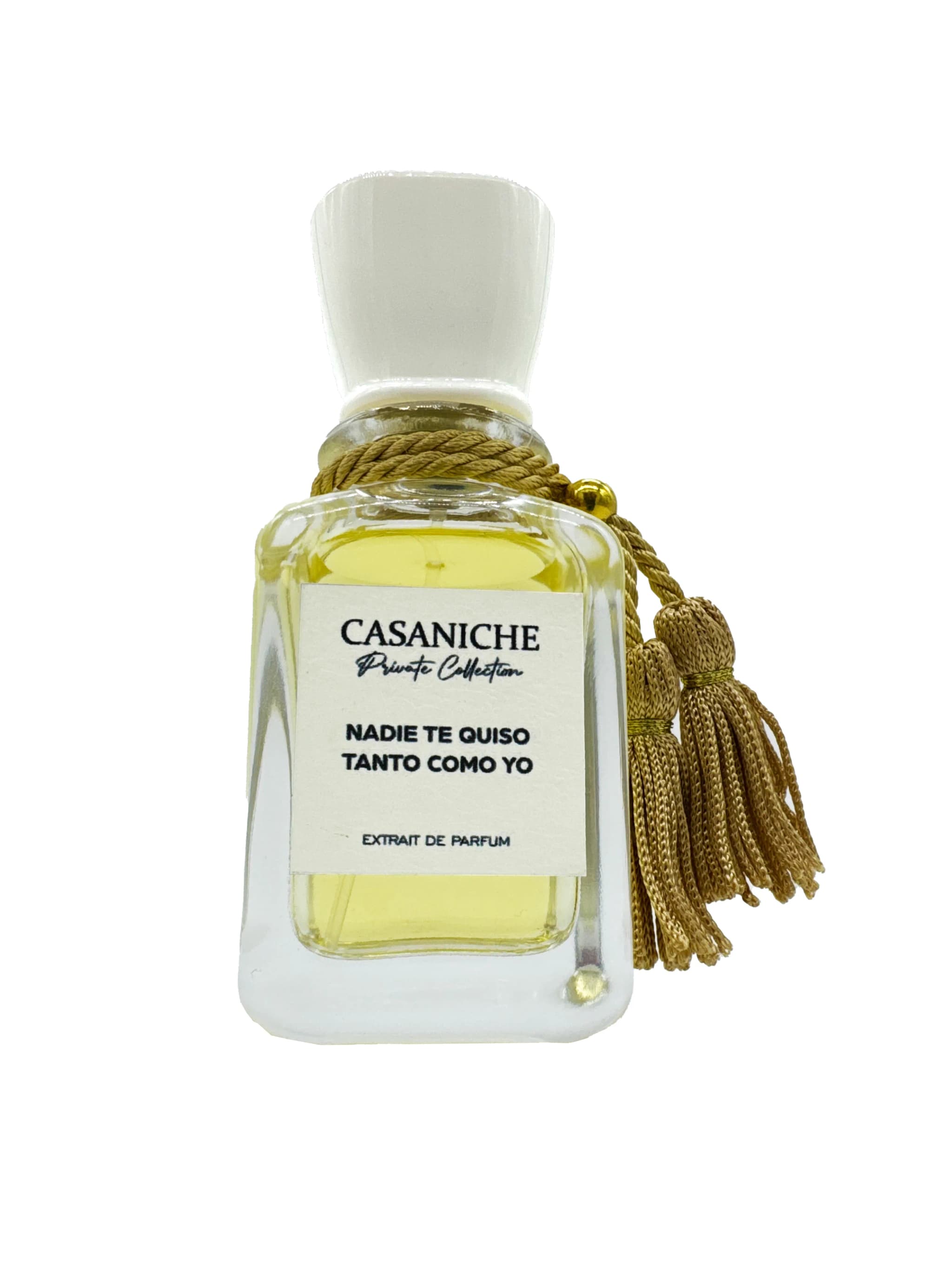 Nadie te quiso tanto como yo