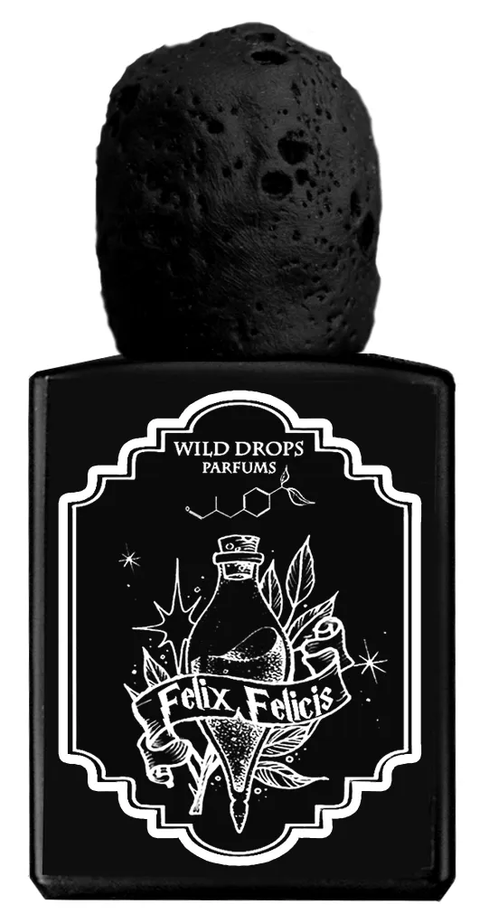 Felix Felicis
