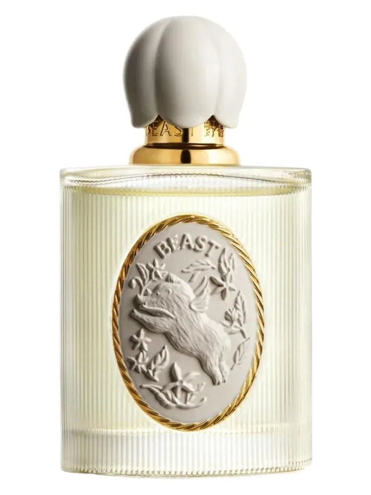 Day Dreaming 白日梦