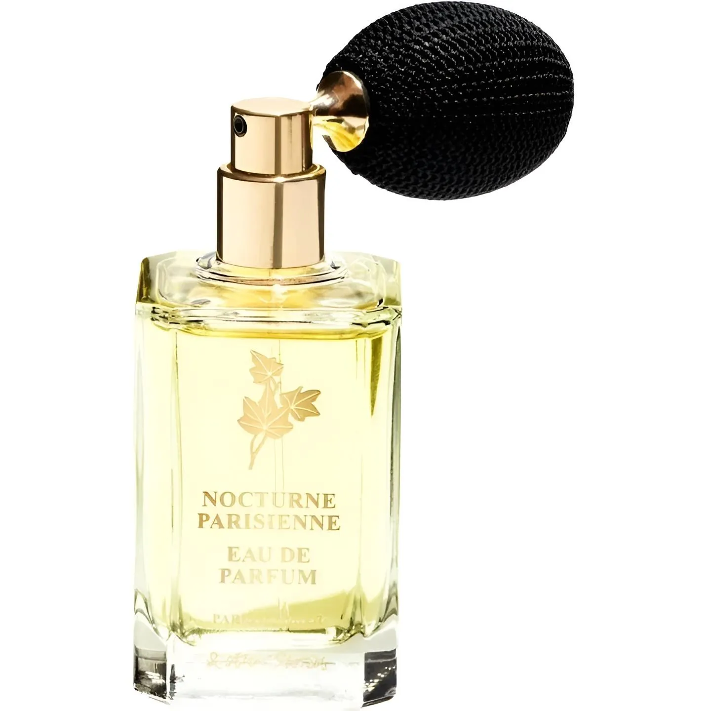 Nocturne Parisienne