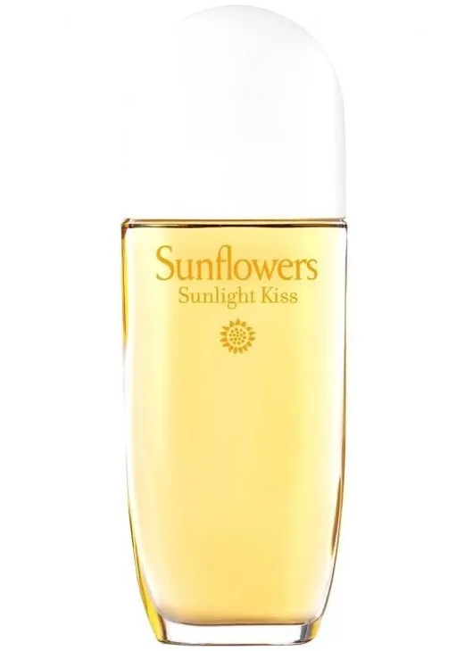 Sunflowers Sunlight Kiss