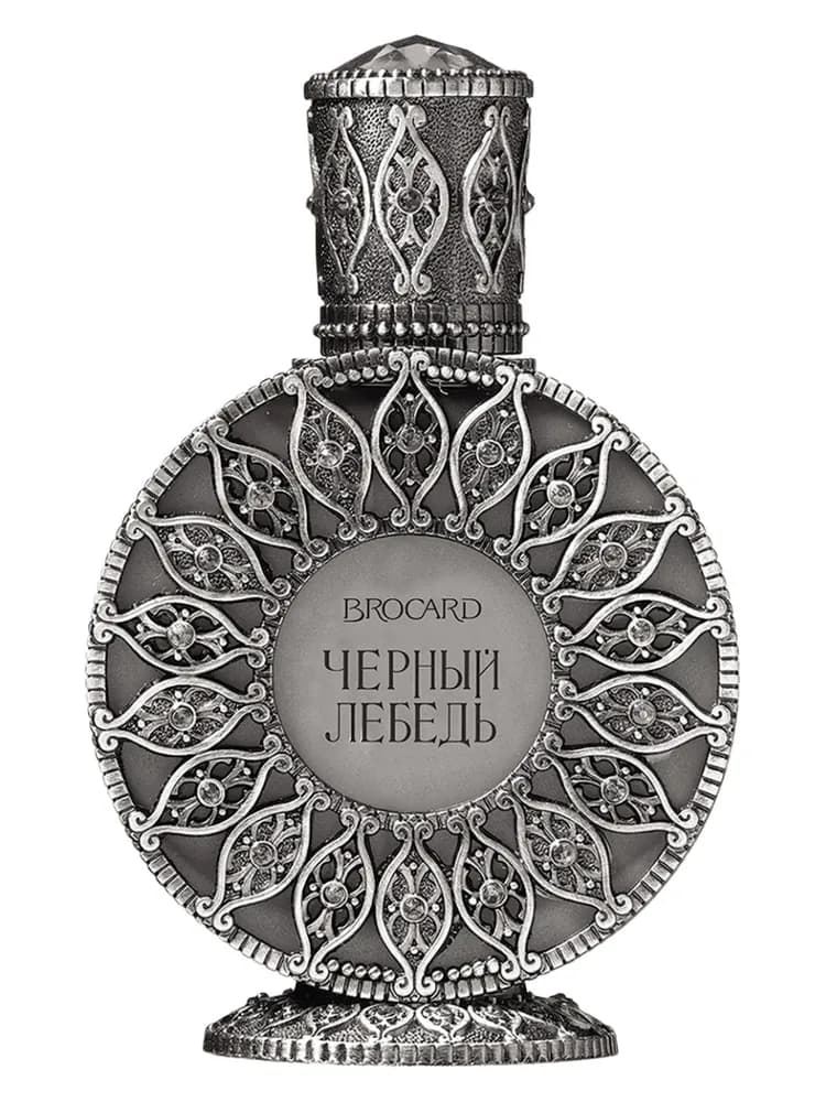 Black Swan (Черный лебедь)