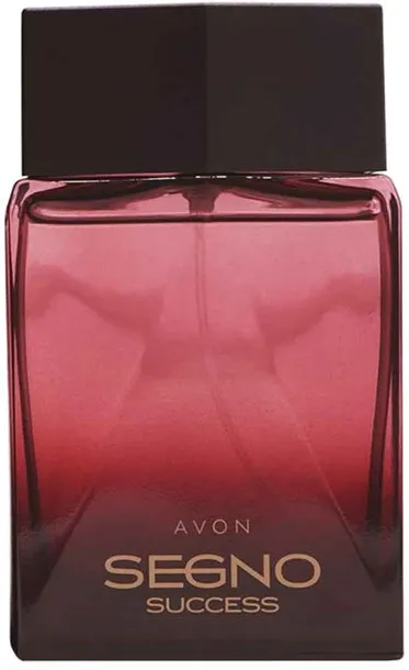 Segno Success