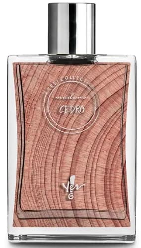 Cedro