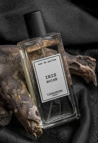 Iris Boisé
