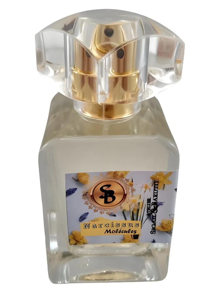Narcissus Molécules