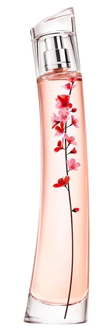 Flower Ikebana Sakura