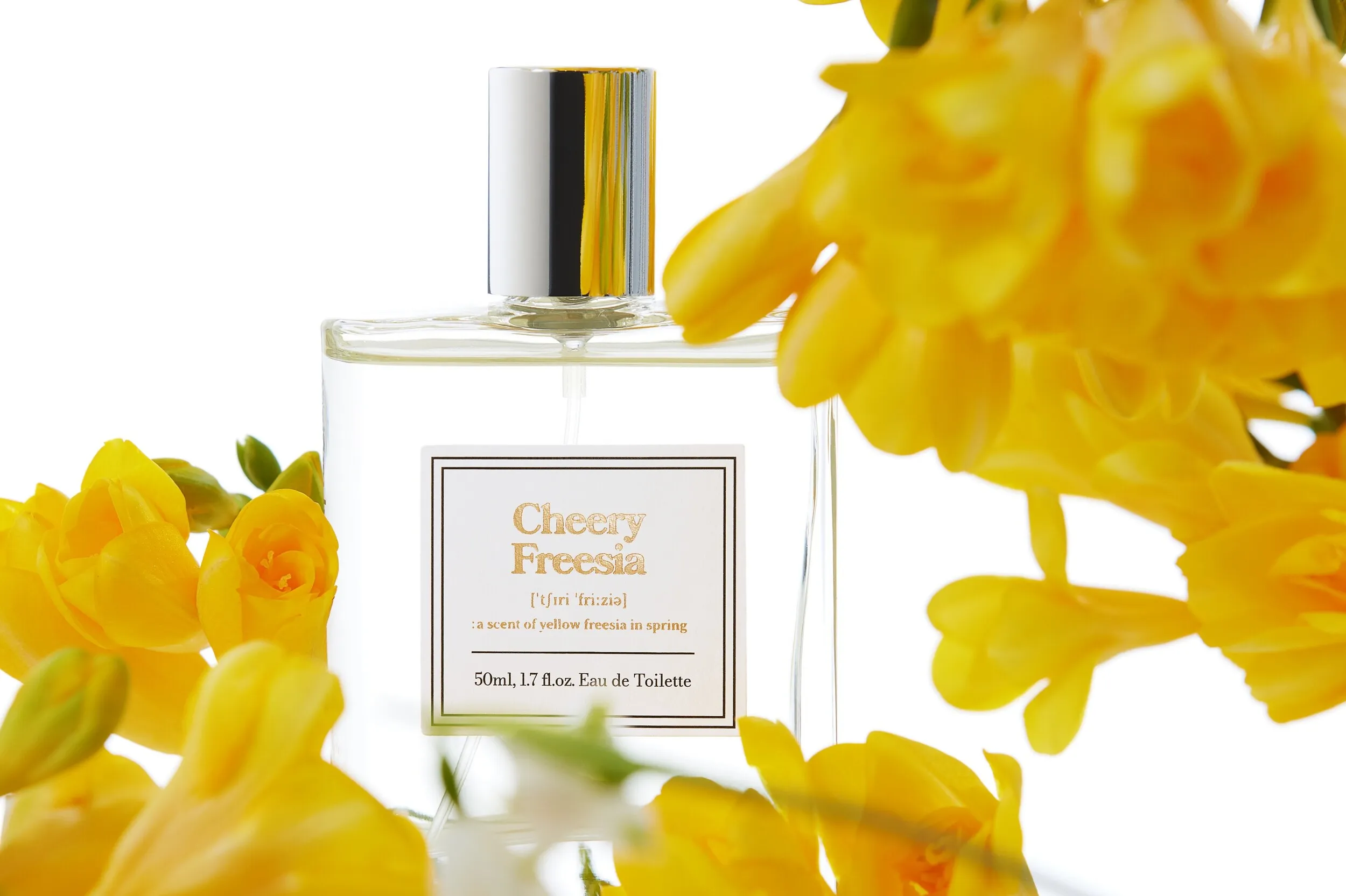 Cheery Freesia
