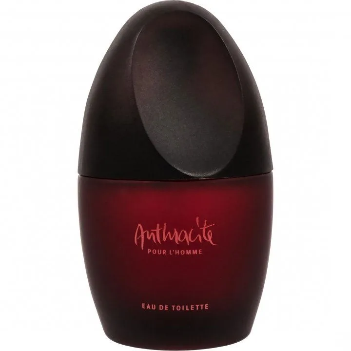 Anthracite Pour L Homme