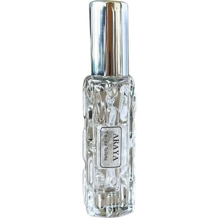 Foggy Dawn in the Garden