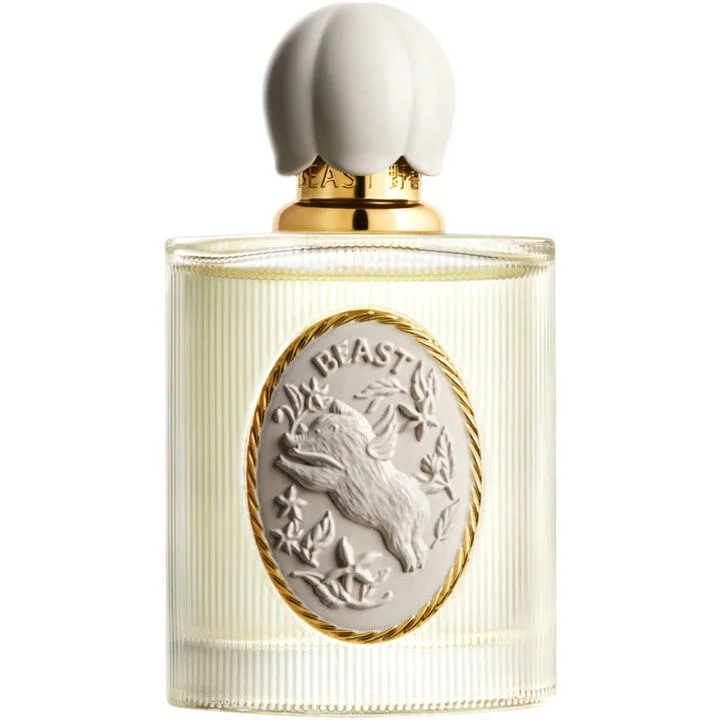 Day Dreaming 白日梦