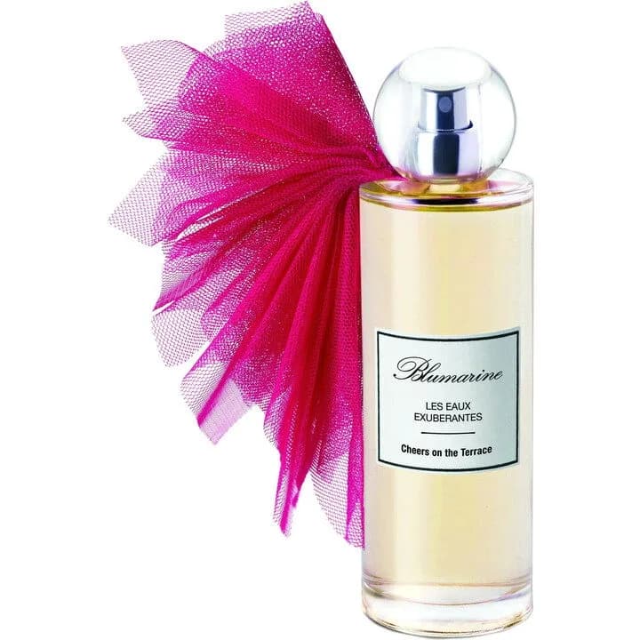 Cheers on the Terrace