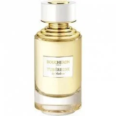 Tubéreuse De Madras