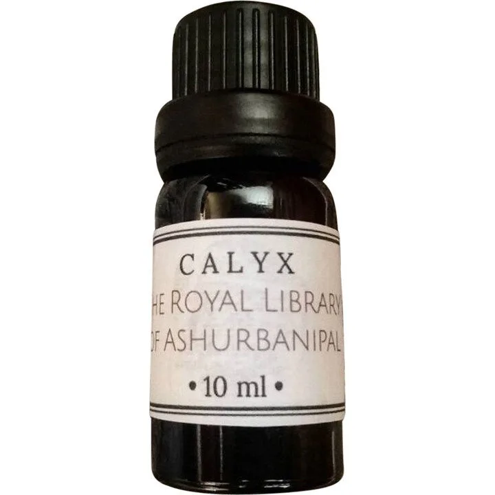 The Royal Library of Ashurbanipal