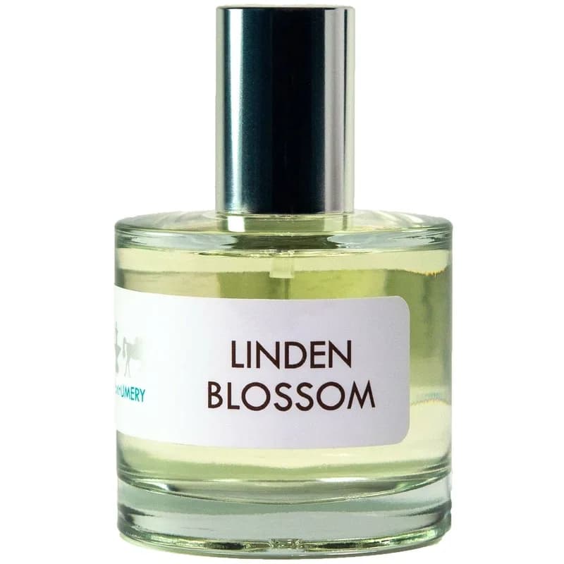 Linden Blossom