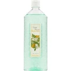 Agua Fresca de Naranjos