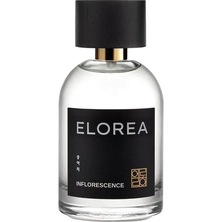 Inflorescence 송아리