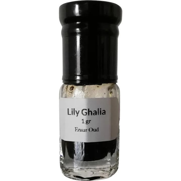 Lily Ghalia