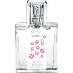 Shidarekoubai しだれ紅梅