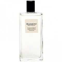 Pompelmo ed Agrumi Grapefruit and Citrus