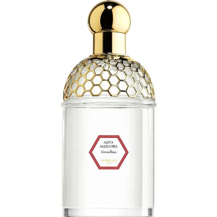 Aqua Allegoria Grosellina