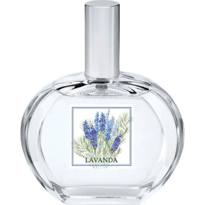 I Classici - Lavanda