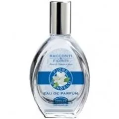 Racconti Fioriti - Fiore d'Angelo
