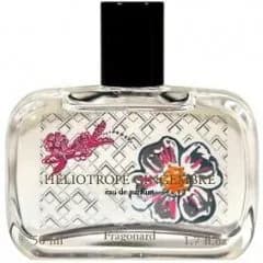 Heliotrope Gingembre