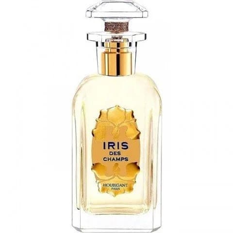 Iris des Champs