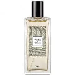 Papillon à 6 heures