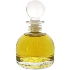 Turtle Vetiver Front