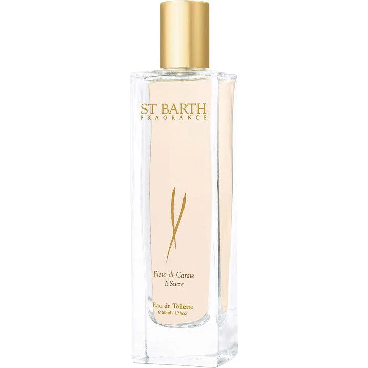 Fleur de Canne à Sucre