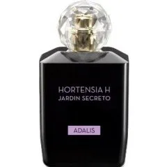 Hortensia H Jardin Secreto - Adalis