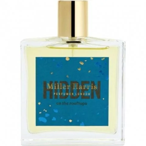 Hidden On The Rooftops