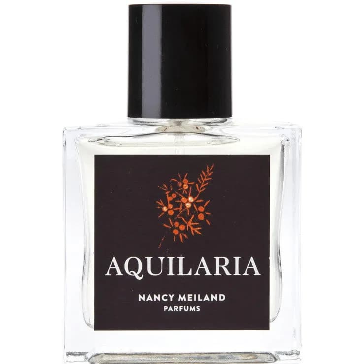 Aquilaria
