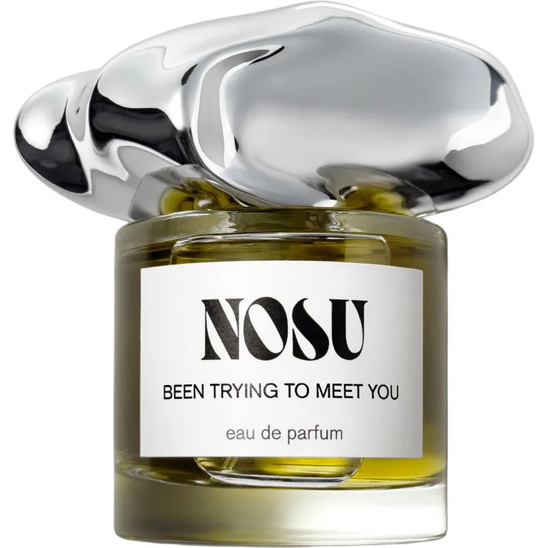 Been Trying To Meet You