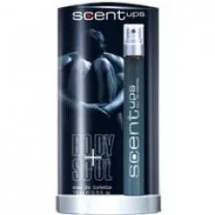 Scentups - Elegant Woods (schwarz)