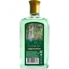 Russian Forest Русский лес