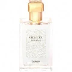 Orchidée Charnelle