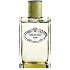 Infusion de Vétiver