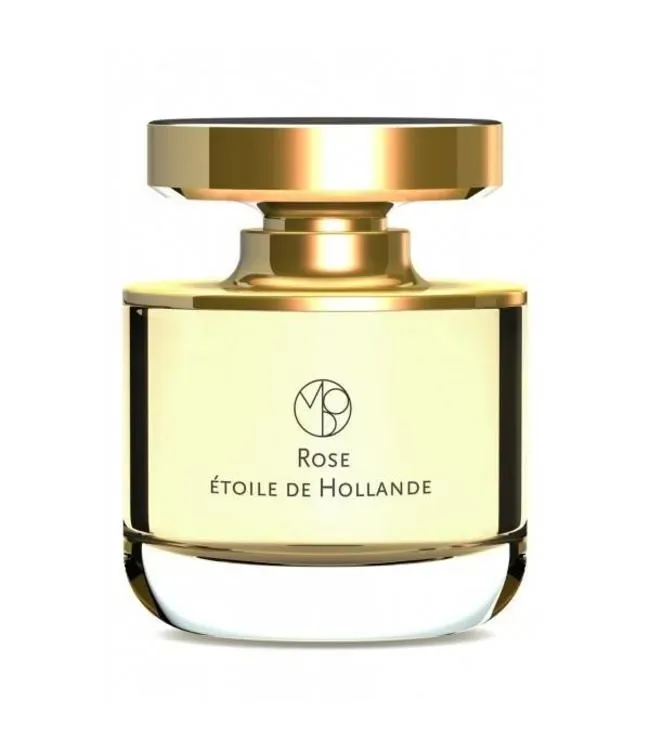 Rose Etoile De Hollande