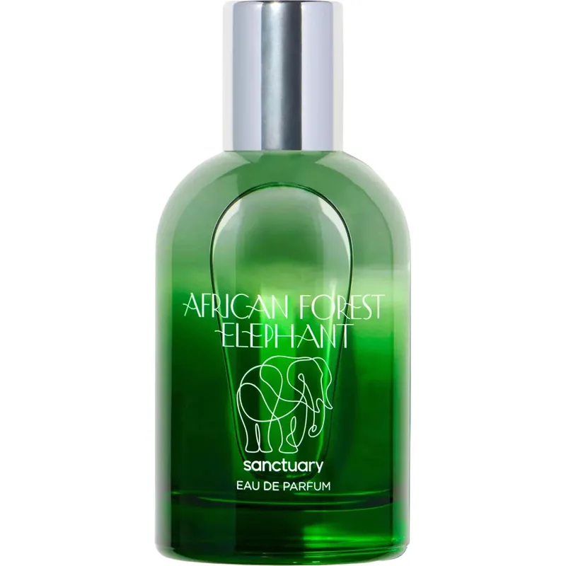 African Forest Elephant