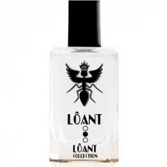 Lôant Collection - Lôant