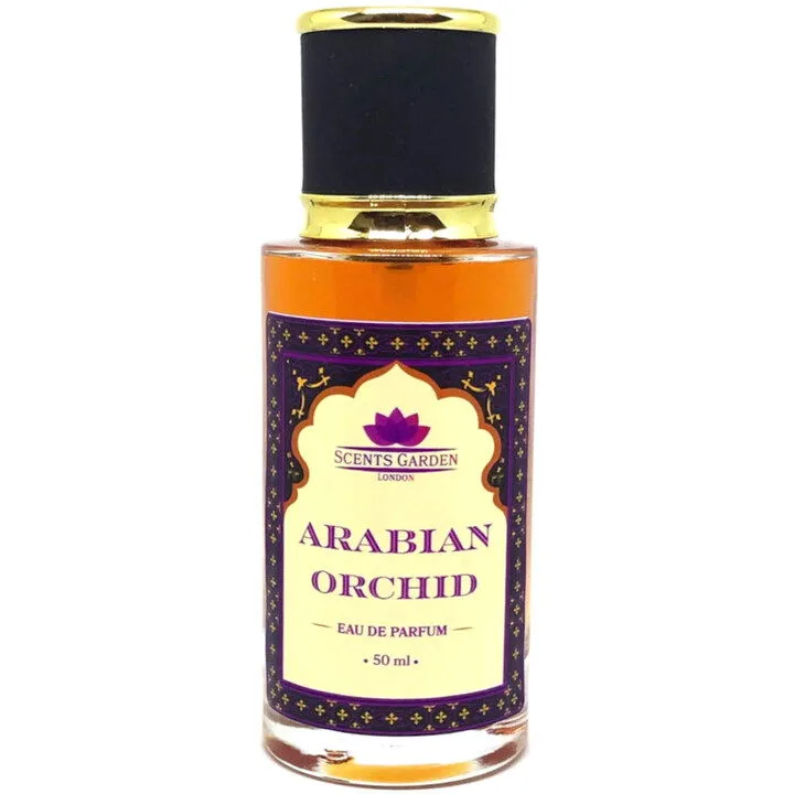 Arabian Orchid