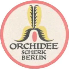 Orchidee
