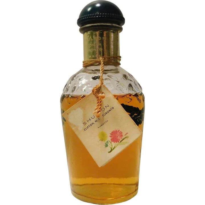 Friendship Garden Friendship's Garden