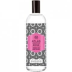 Atlas Mountain Rose