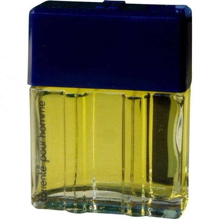 Torrente pour Homme Torrente Eau de Toilette