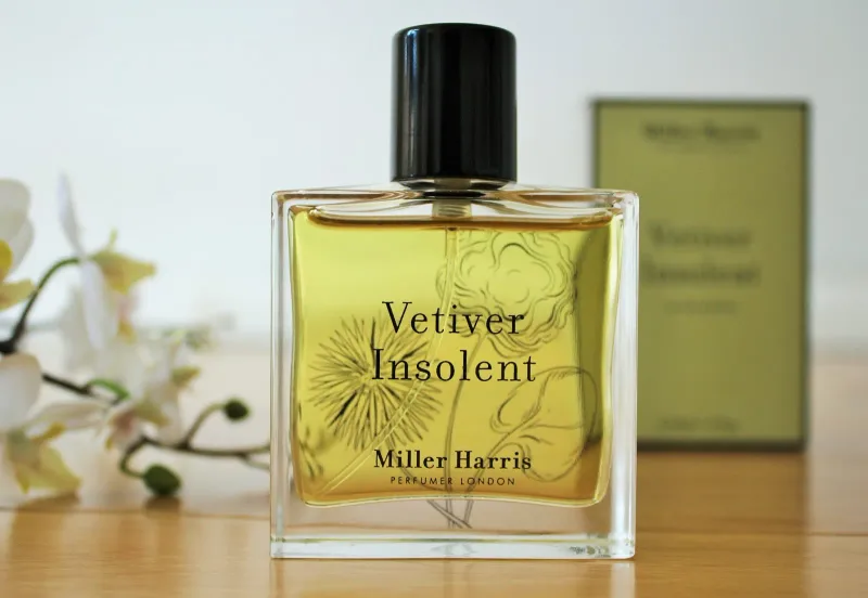 Vetiver Insolent