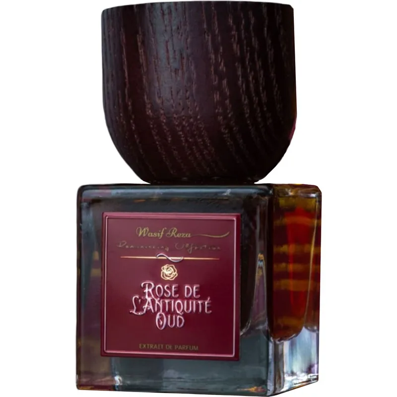 Rose de L'Antiquité Oud